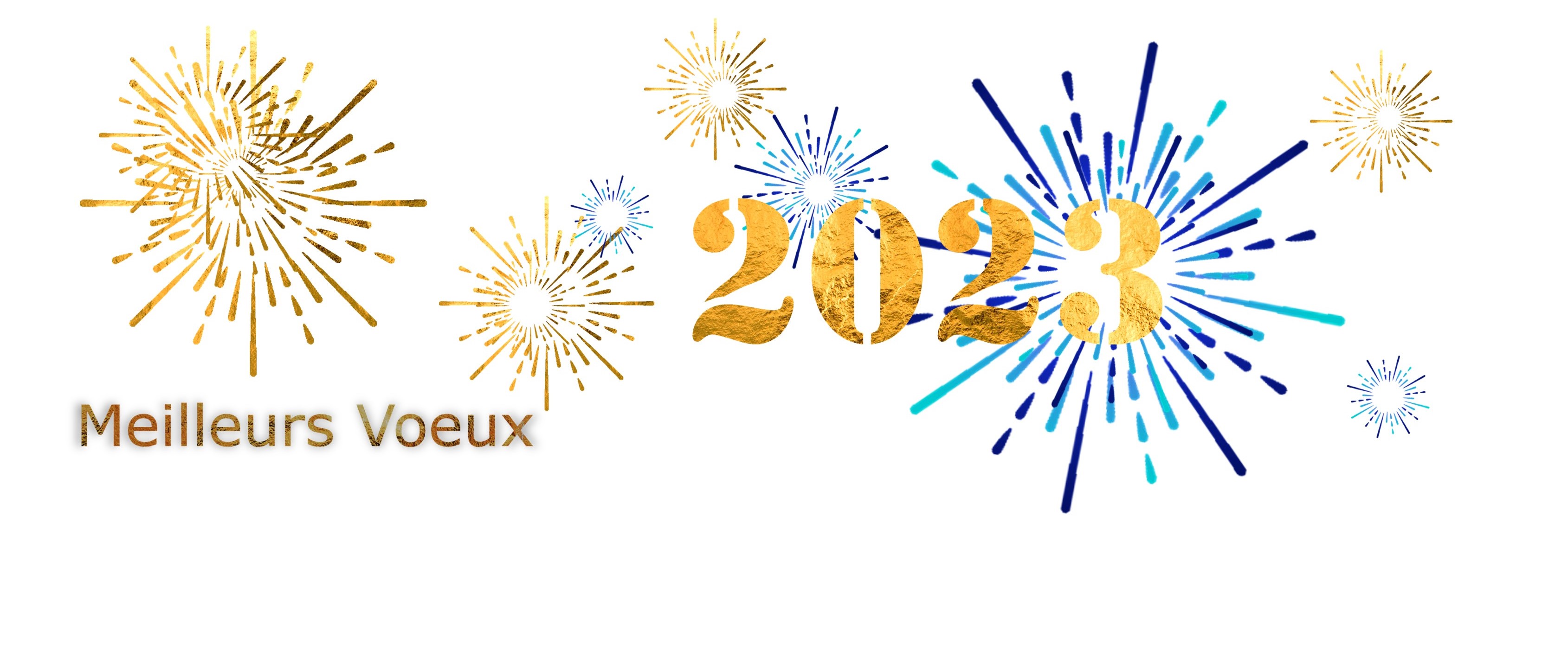 Voeux 2023